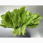 Свіжа зелень Салати Руккола Кінза та інше - фото № 6