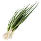 Закупка Цибуля зелена от 500 до 1000 кг в неделю - фото № 1