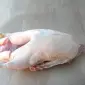 Продам тушки гусей - фото № 1