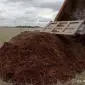 Перегной коровий, конский. Навоз. удобрение. - фото № 1