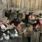 Кури бентамки - фото № 1