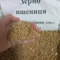 Пшениця, Кукуруза, Соняшник, Овес, Ячмінь, Просо - фото № 1