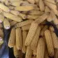 Продам кукурудзу в качанах - фото № 1