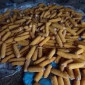 Кукуруза в качанах на продажу - фото № 1