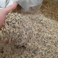 Продажа отходов кукурузы и пшеницы - фото № 1