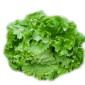 Салат Дубок Зелений 1 кг - фото № 1