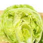 Салат Айсберг на продаж - фото № 1