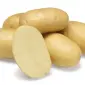 Картофель на посадку Джолин 2,5 кг ,1 репродукция - фото № 1
