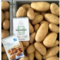 Насіннєва картопля Гранада 2,5 кг для продажу - фото № 1