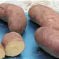 Семенной картофель Тирас (Элита) - фото № 1