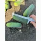 Продам огірок грунтовий оптом вибірка від 7 тонн. Огірок оптом - фото № 2
