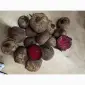 Продажа буряка - фото № 1