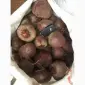 Срочно продам свеклу Детроит и другие сорта оптом - фото № 2