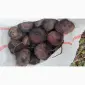 Продам буряк Зепо маю обєм - фото № 2