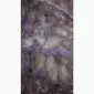 Продам столовий буряк - фото № 2