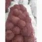 Продаємо буряк - фото № 2