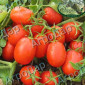 Томати «Ред Скай f1» та «Фабер f1» 400 тонн - фото № 4