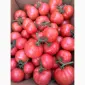Продам ранній помідор Закарпаття різних сортів - фото № 1