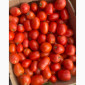 Помідори сорту Діно оптом - фото № 1