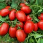 Продам помідори Умань - фото № 1