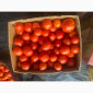 Продаж круглий тепличний помідор високої якості - фото № 3