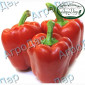 Солодкий перець «Клаудіо f1» на продаж - фото № 3