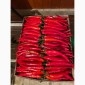 Перець чілі об'єм на продажу - фото № 2