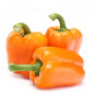 Продаж болгарського солодкого оранжевого перцю з Єгипту - фото № 1