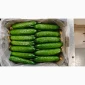 Огірки тепличні (Україна) - фото № 1
