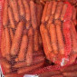 Закупаем морковь оптом от 20 тонн - фото № 1