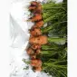 Продам моркву другого сорту для переробки та корму для тварин - фото № 1
