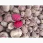 Продам Цибулю - фото № 12