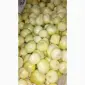 Продам чишений лук - фото № 1