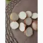 Продам лук репчатый жёлтый - фото № 2