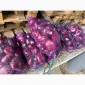 Продам ялтинський лук - фото № 1