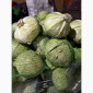 Капуста Агресор от поставщика - фото № 5