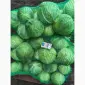 Продам капусту Агресор гурт від 1т по 5 грн/кг - фото № 2