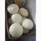 Капуста на продаж 1.5+ - фото № 2