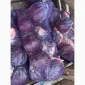 Продам капусту к/к - фото № 1