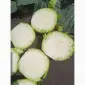 Продаем капусту на торговлю и шинковку - фото № 4