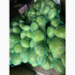 Капуста сорт агресор на продажу - фото № 1