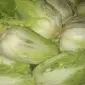 Предлагаем пекинскую капусту крупным и мелким оптом. Продукция выращена без нитратов - фото № 1