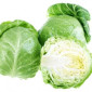 Закупаем свежую капусту оптом в Киев - фото № 1