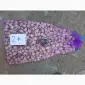 Продам чеснок Любаша 1 репродукция - фото № 1