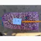 Продам чеснок Любаша 1 репродукция - фото № 2