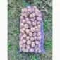Продам насіння картоплі сорту Рівʼєра. 1 - фото № 1
