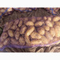Продается картошка сорта Гранада - фото № 5
