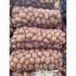 Продам товарную картошку сорт білоросу - фото № 1