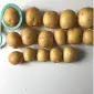 Продам картофель Гала партиями 24 тонны от фермера - фото № 3
