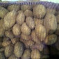 Закупка насіннєвої картоплі гуртом від 5 тонн - фото № 1